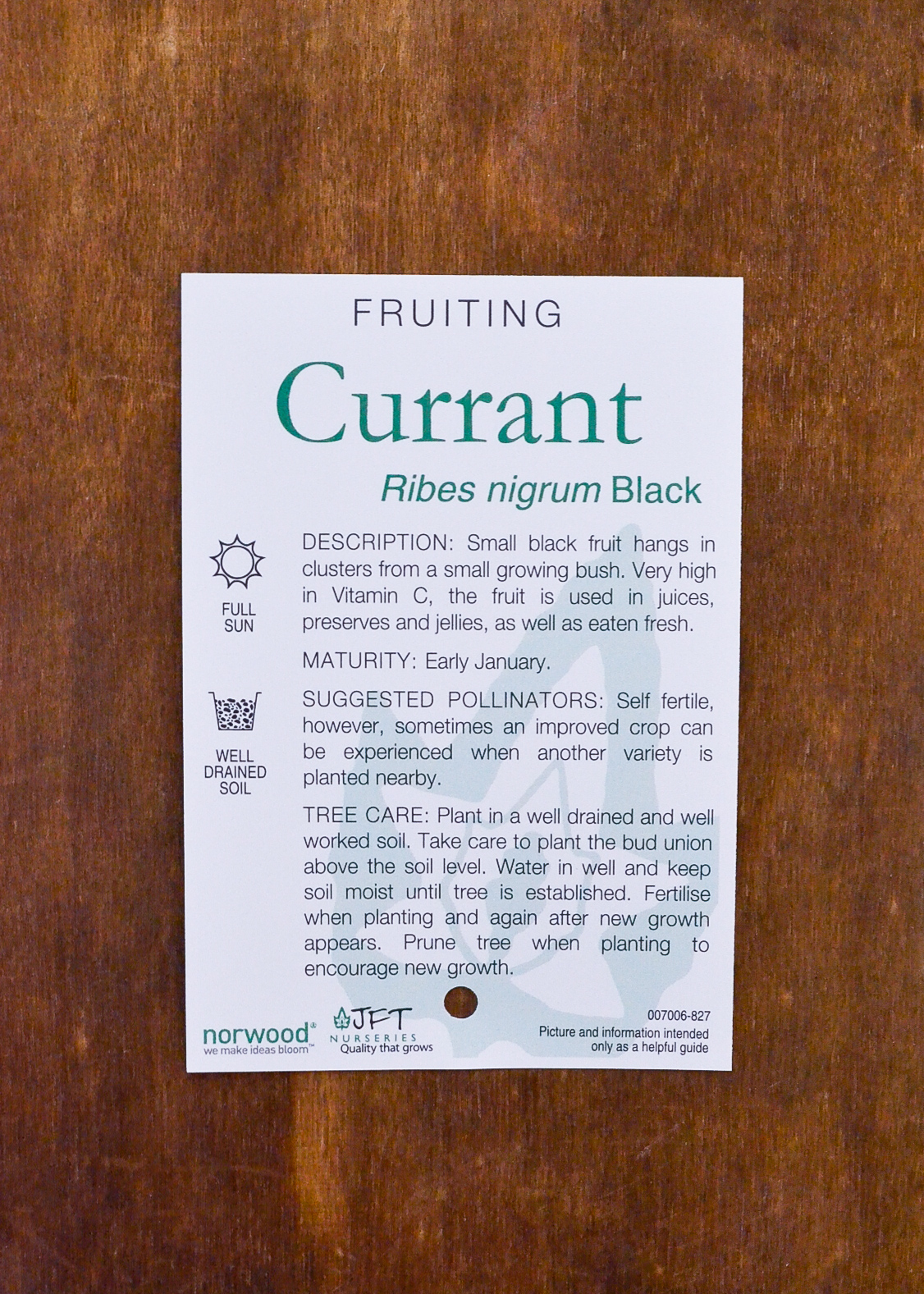 Currant - Black - Image 2