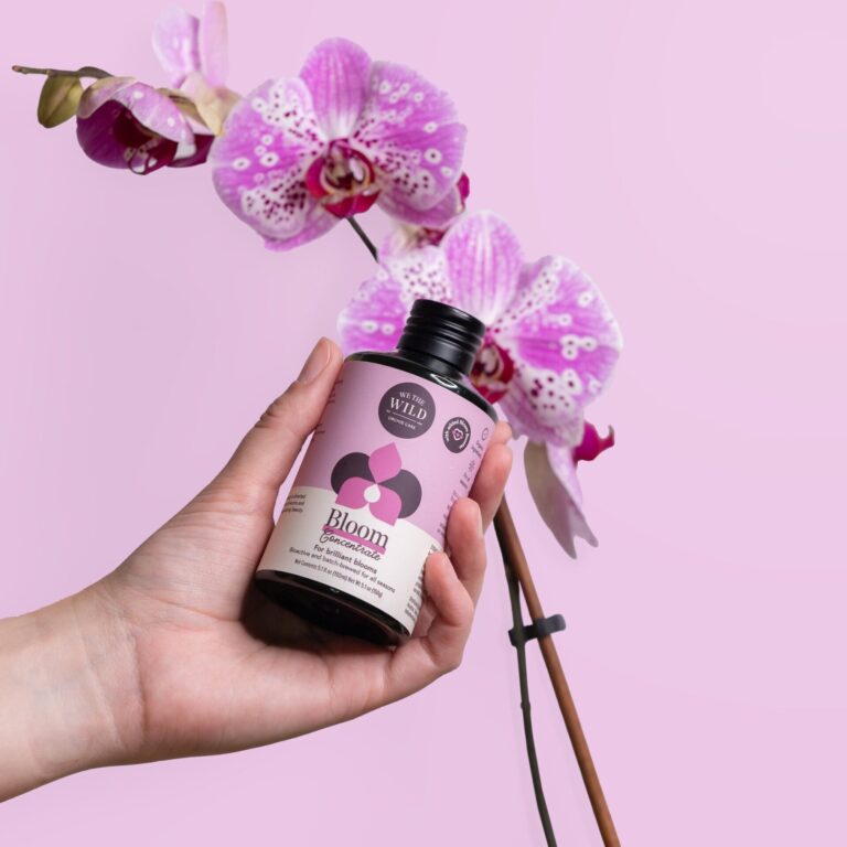 Orchid Bloom Concentrate - We The Wild