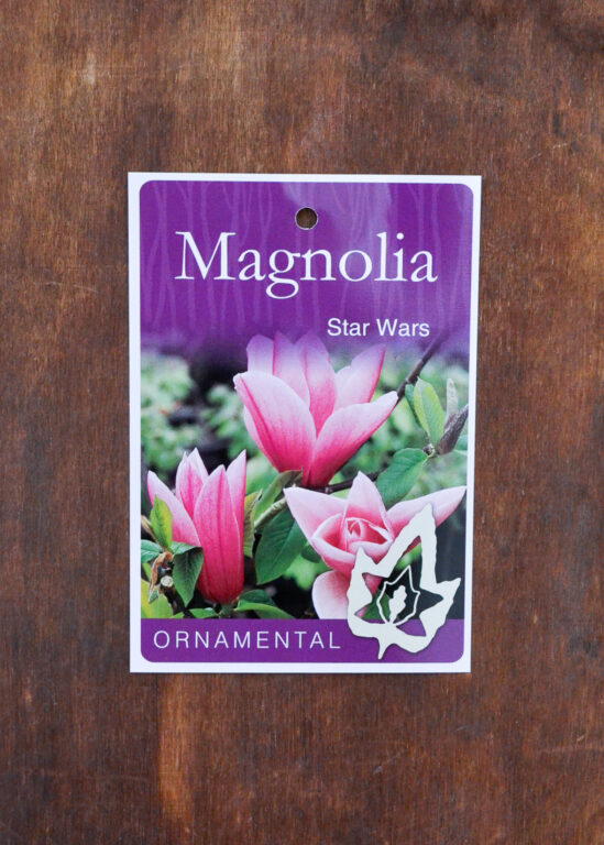 Magnolia - Star Wars