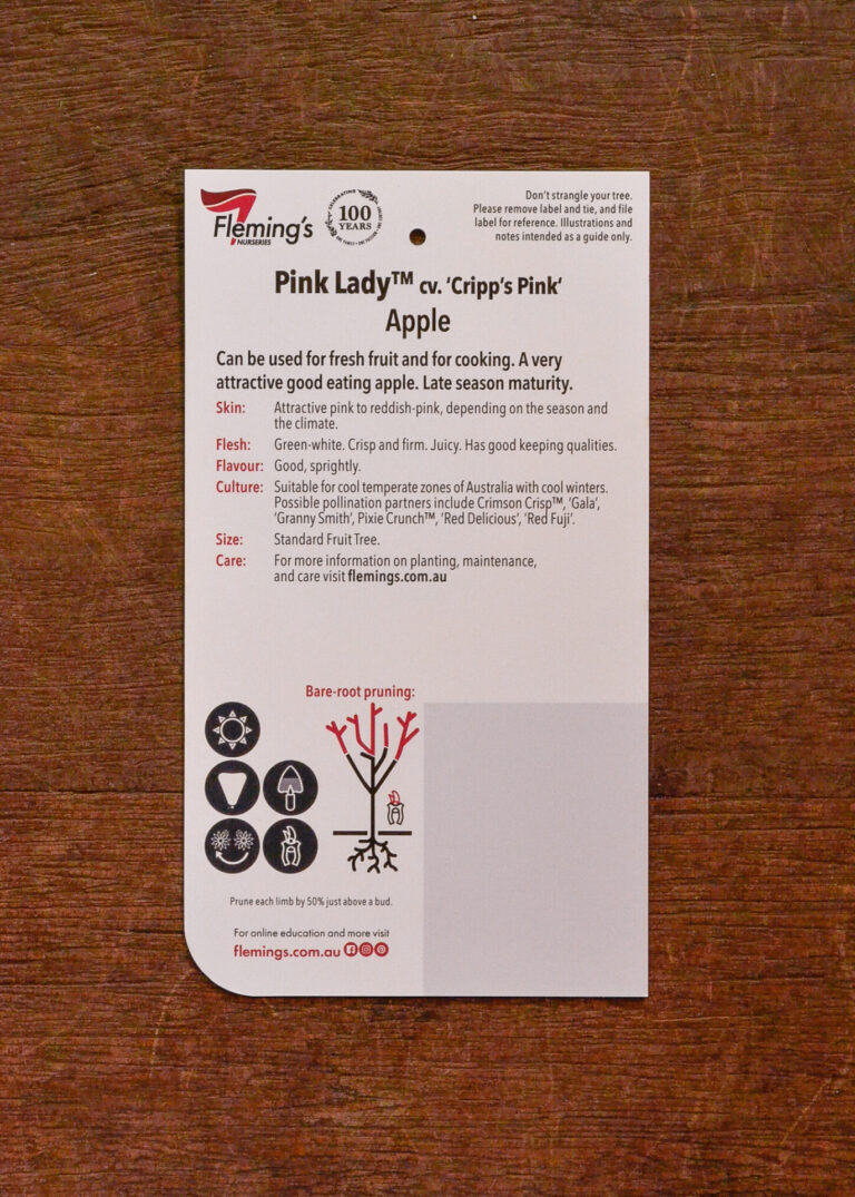 Apple - Pink Lady - Image 2