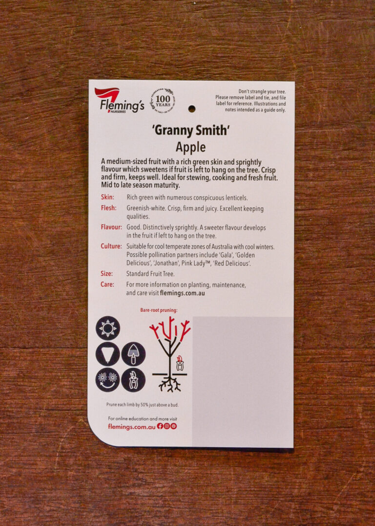 Apple - Granny Smith - Image 2