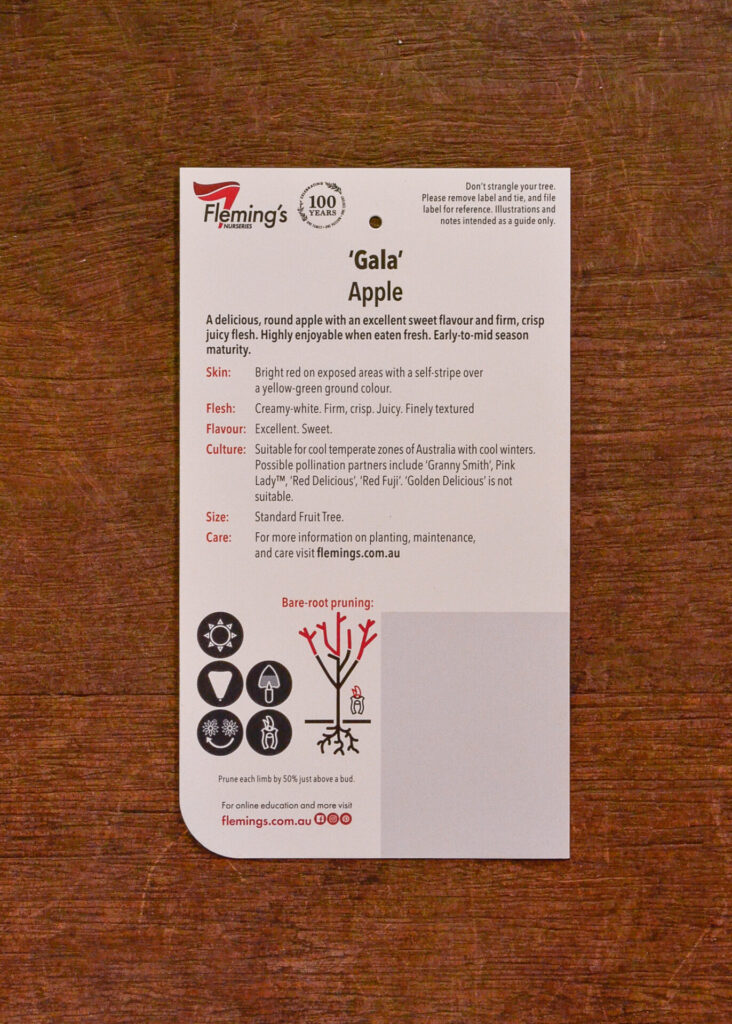 Apple - Gala - Image 2
