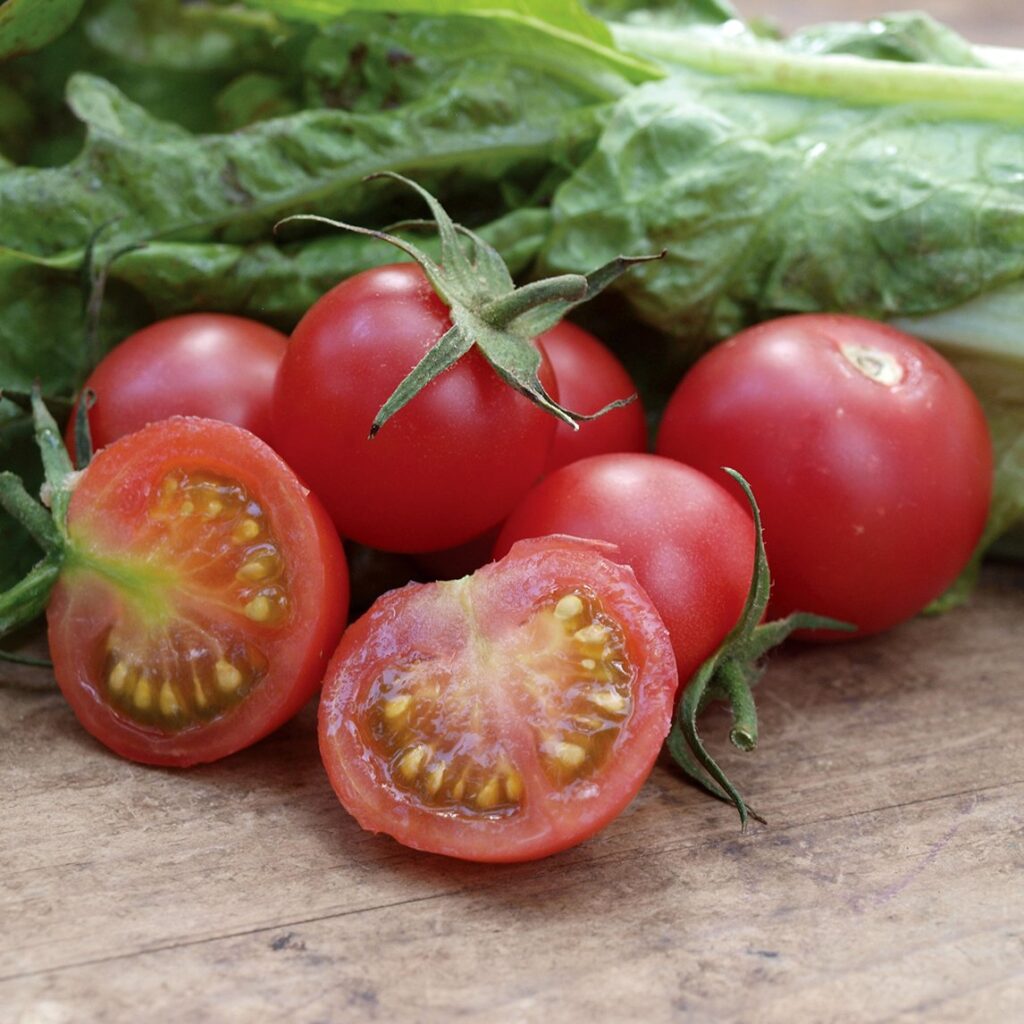 Tomato - Rose De Berne - Diggers Seeds - Image 2