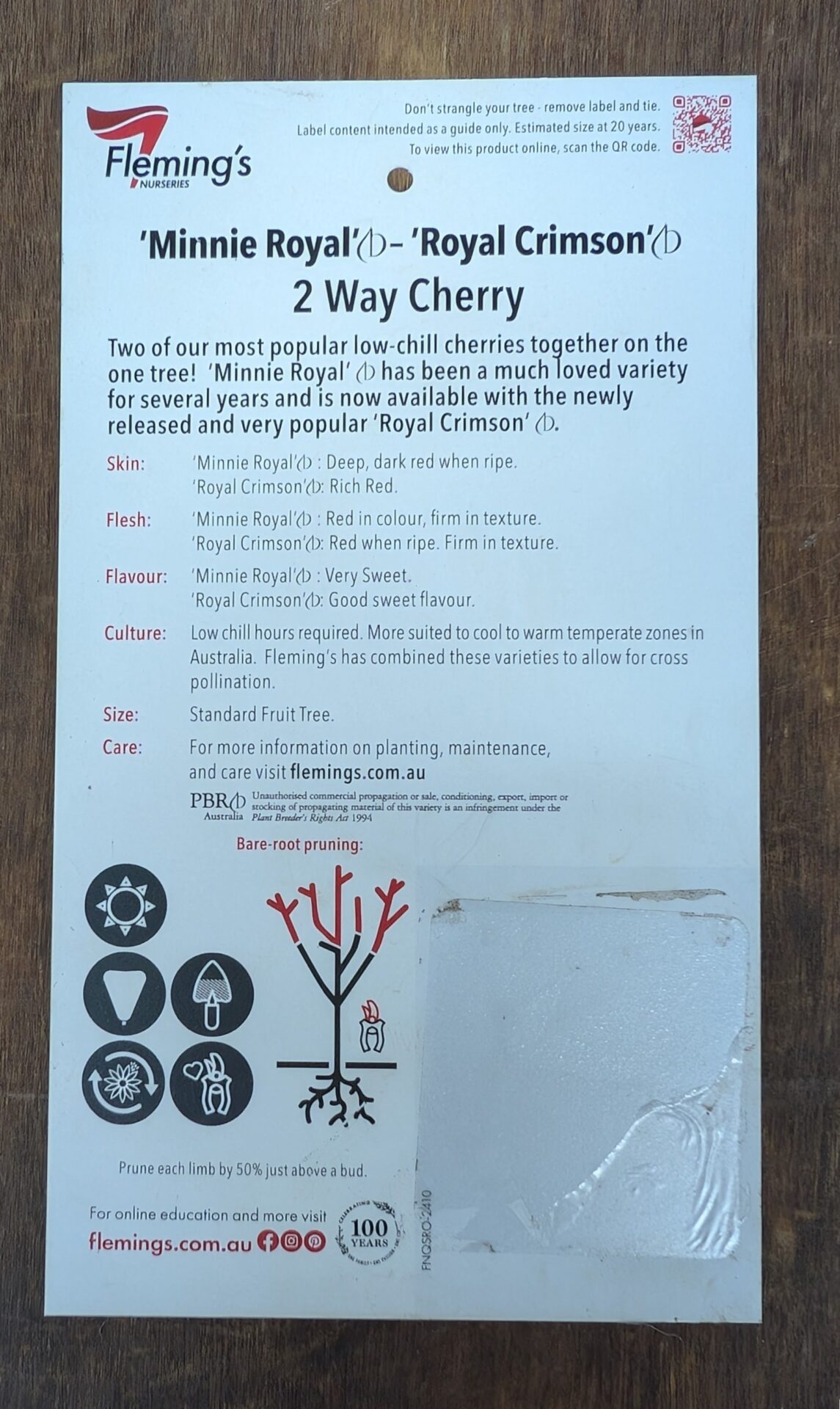 Cherry Multi Graft - Minnie Royal/Royal Crimson - Image 2
