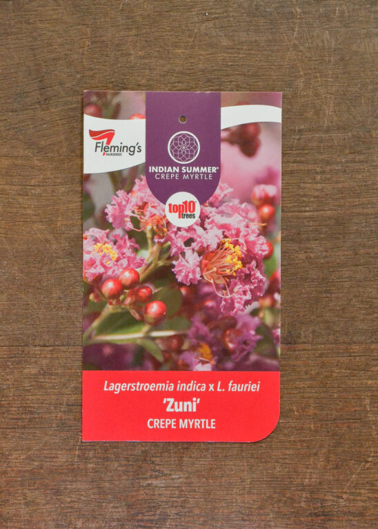 Crepe Myrtle - Zuni