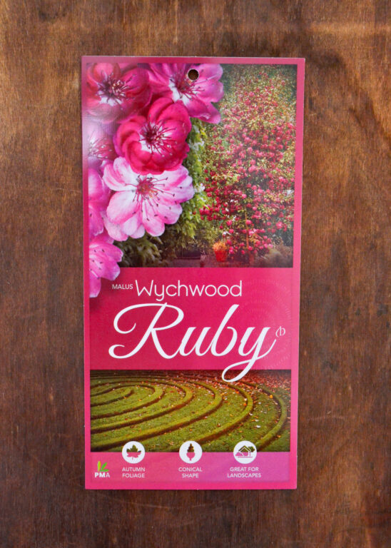 Crab Apple - Wychwood Ruby™