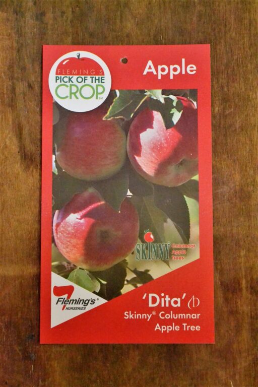 Apple Columnar - Dita