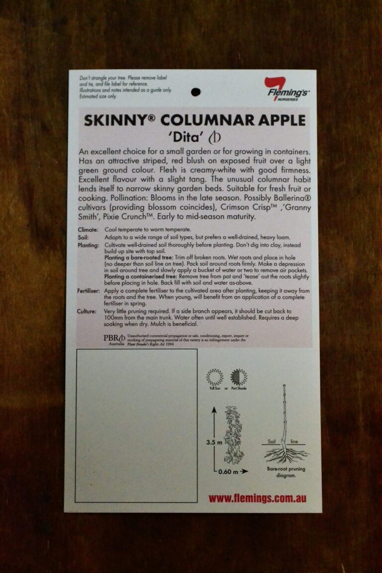 Apple Columnar - Dita - Image 2