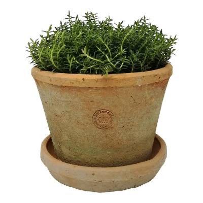 Pot - Low Rustic Antique Red - Terracotta