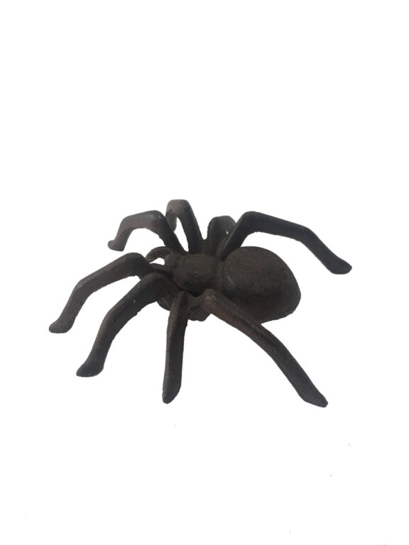 Ornament - Spider - Cast Iron
