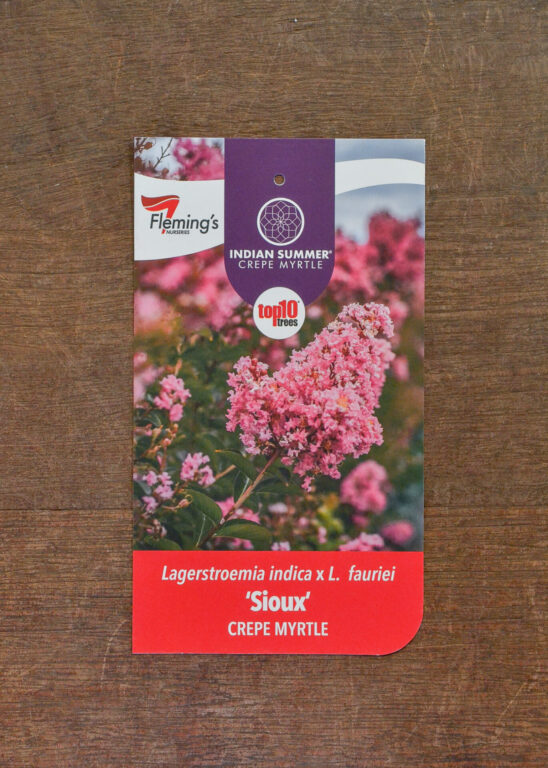Crepe Myrtle - Sioux - Bare root