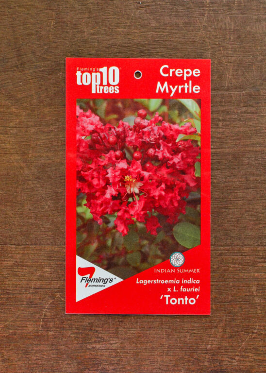 Crepe Myrtle - Tonto - Bare Root