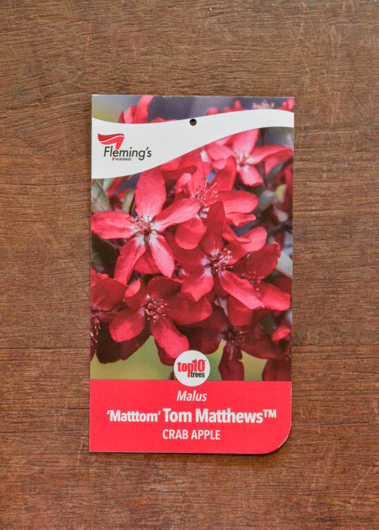 Crab Apple - Tom Matthews™ - Bare Root