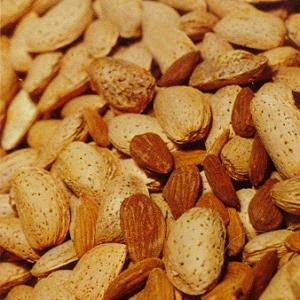 Almond - Multi Graft - Fritz/Mission - Bare Root