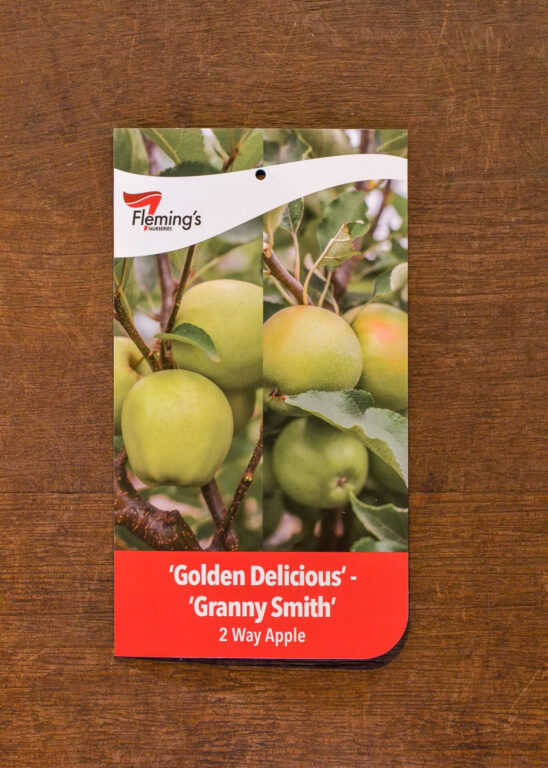 Apple Multi Graft - Golden Delicious/Granny Smith - Bare Root