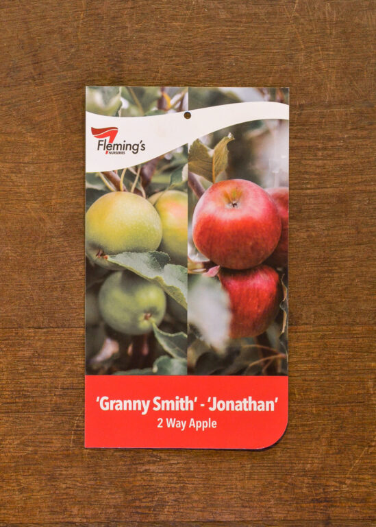 Apple Multi Graft - Granny Smith/Jonathan - Bare Root