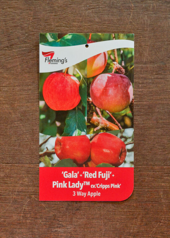 Apple Multi Graft - Gala/Pink Lady/Red Fuji - Bare Root