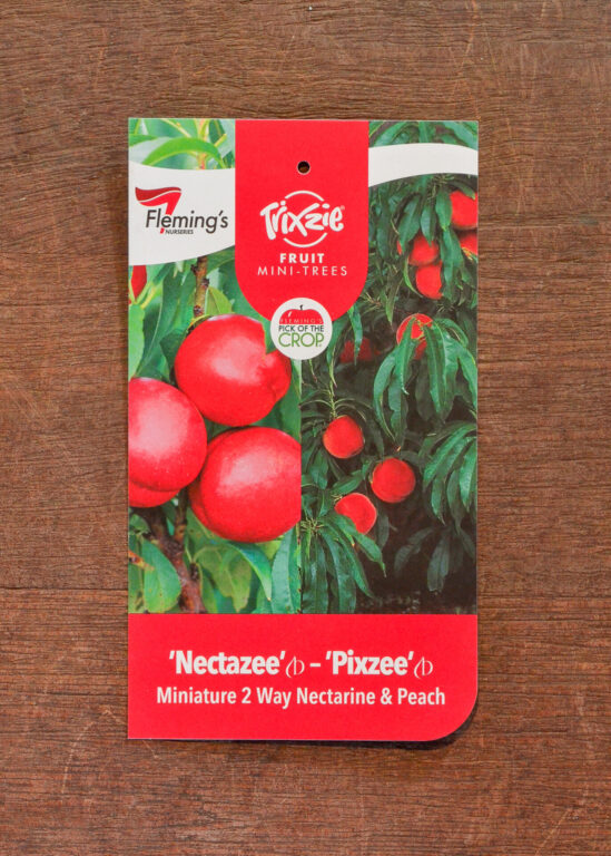 Peach/Nectarine Multi Graft - Trixzie® Pixzee/Nectazee Dwarf - Bare Root