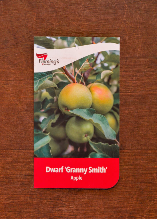 Apple - Granny Smith Dwarf - Bare Root