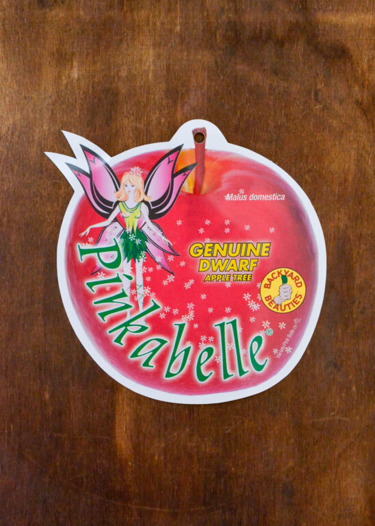 Apple - Pinkabelle® (Pink Lady) Dwarf - Bare Root