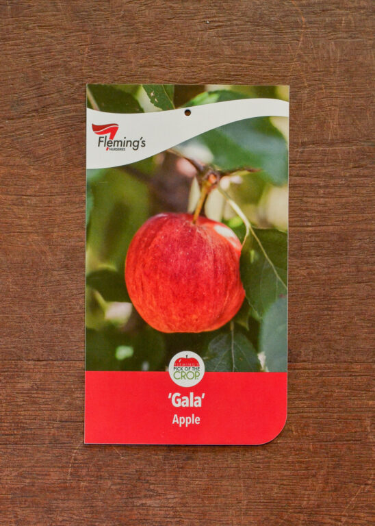 Apple - Gala - Bare Root