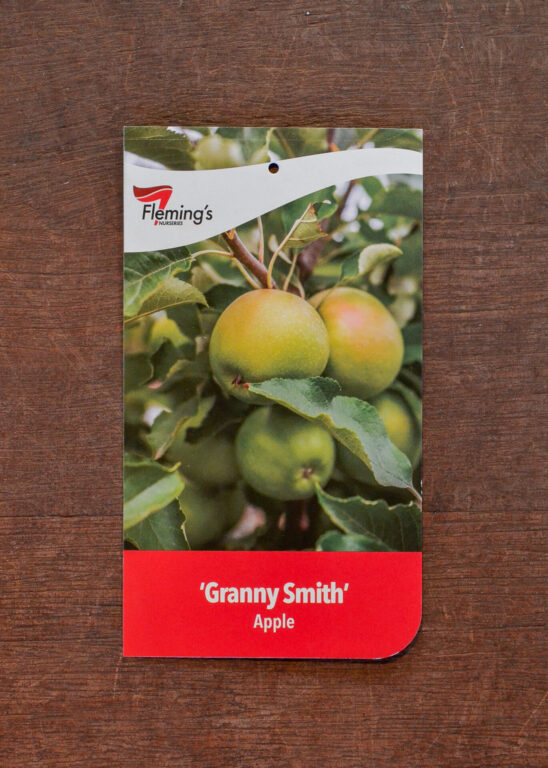 Apple - Granny Smith - Bare Root