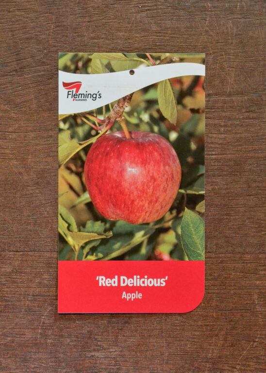 Apple - Red Delicious (Hi Early) - Bare Root