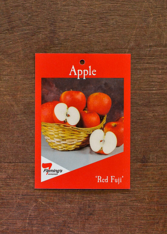 Apple - Red Fuji - Bare Root