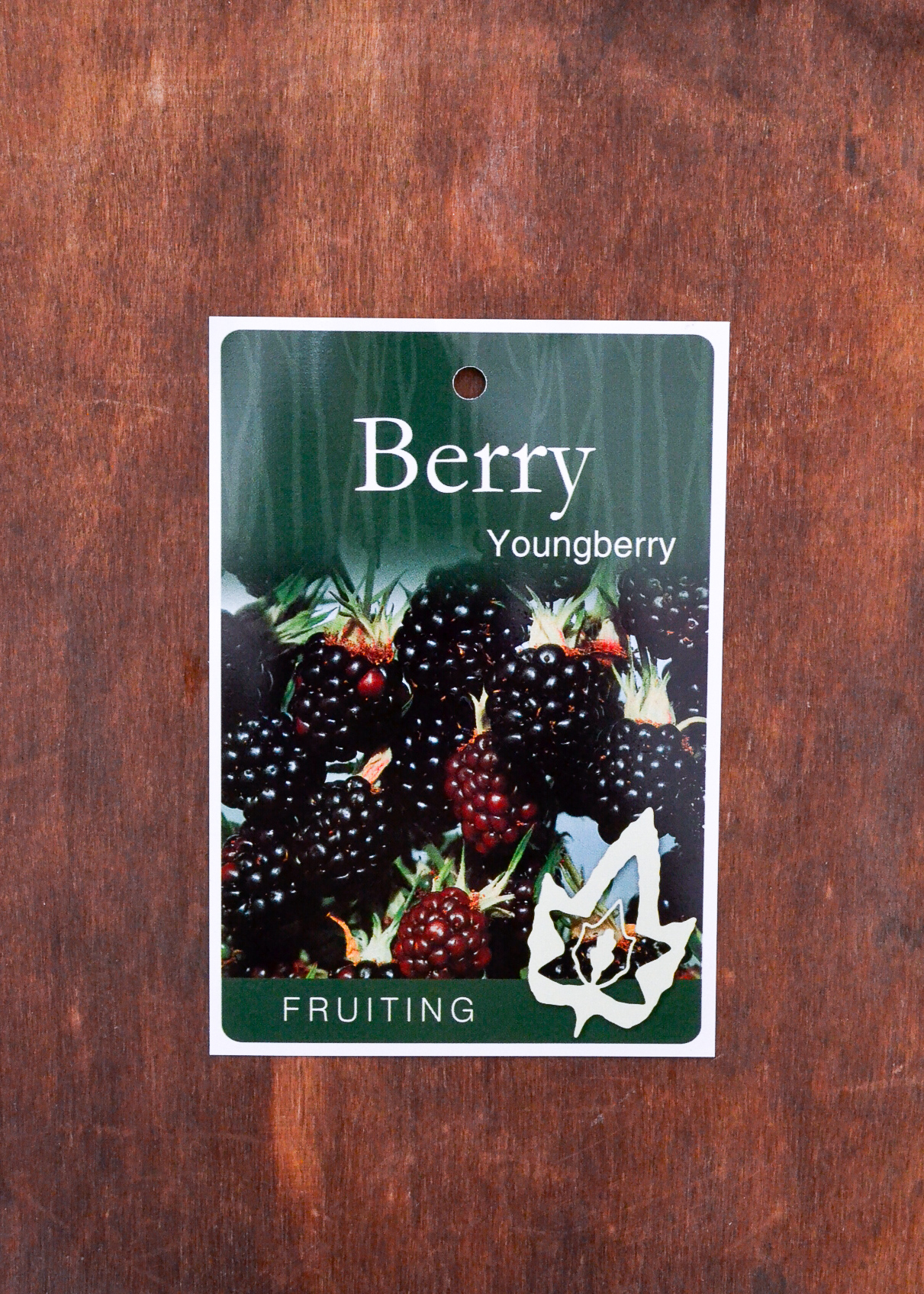 Youngberry - Bare Root