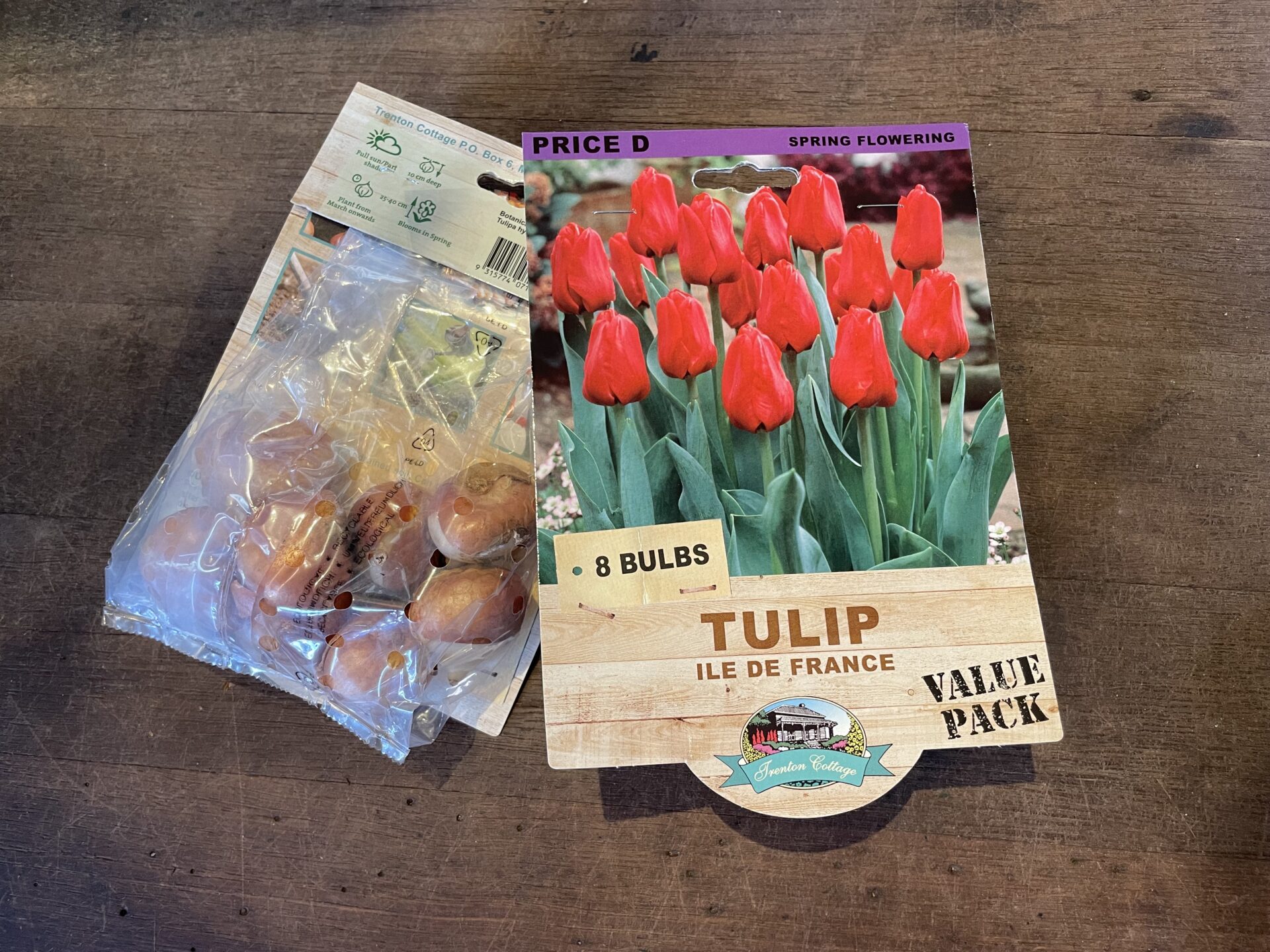Tulip - Ile de France - Bulbs