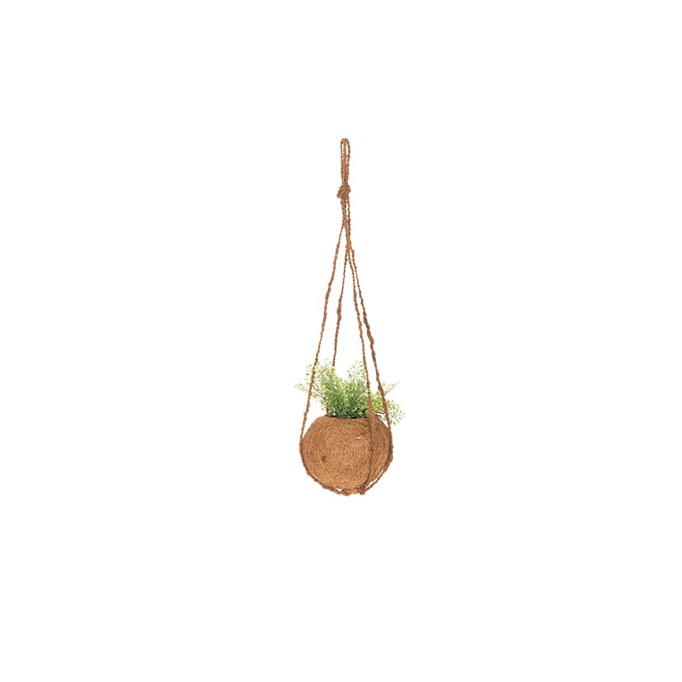 Hanging Basket - Coconut Fibre Ball