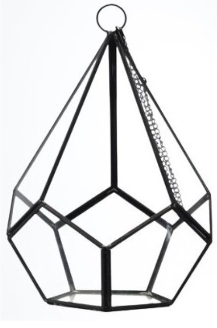 Terrarium - Hanging - Glass And Metal