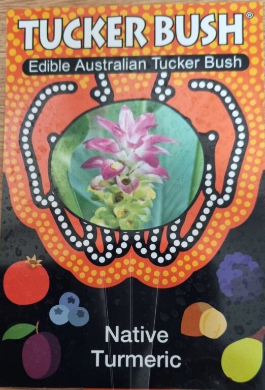 Native Turmeric - Tucker Bush