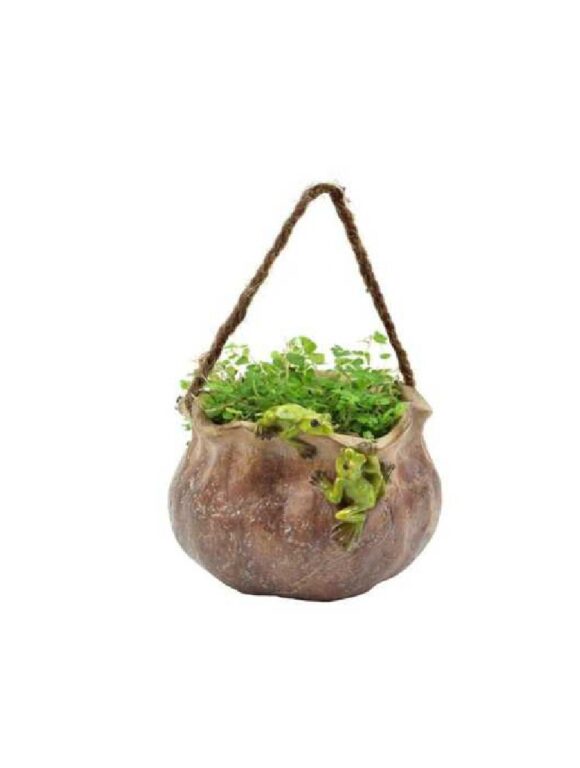 Hanging Planter - Two Green Frogs - Resin
