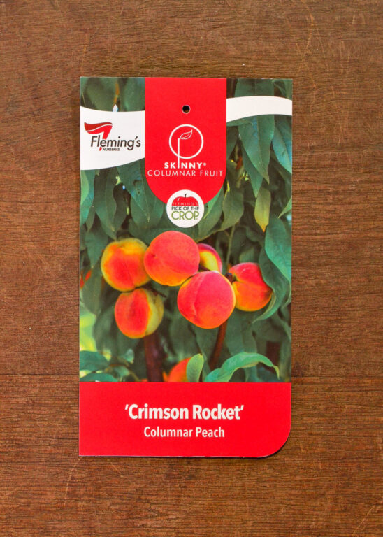 Peach - Crimson Rocket Columnar - Bare Root