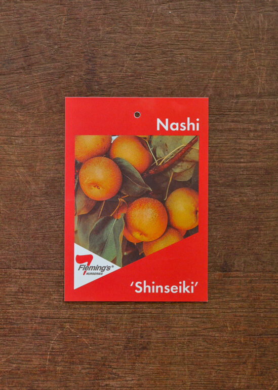 Nashi Pear - Shinseiki - Bare Root