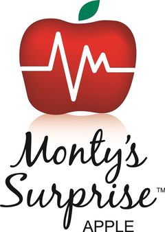 Apple - Monty's Surprise™ Dwarf - Bare Root