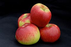 Apple - Monty's Surprise™ Dwarf - Bare Root - Image 2