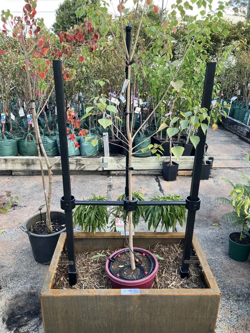 Tree Support - 2 Stake System - The Tree Nurturer