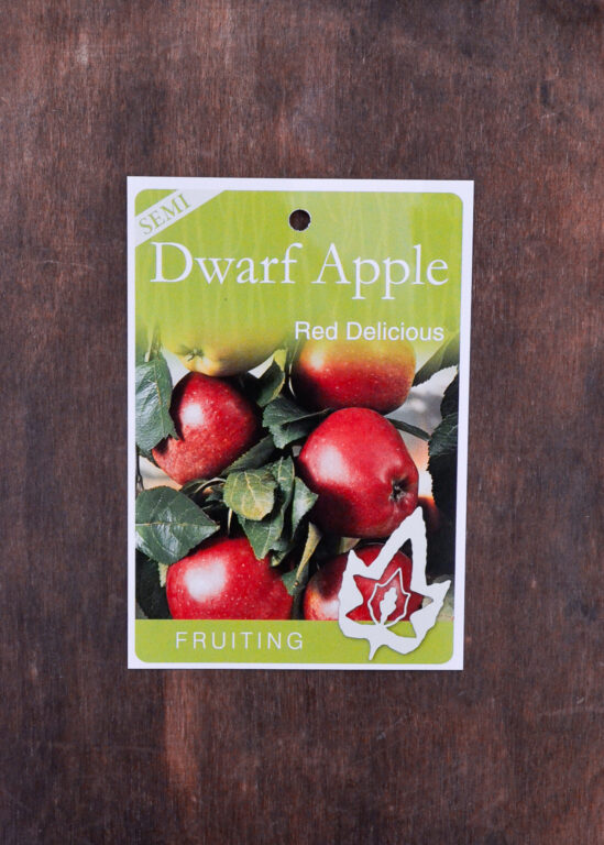 Apple - Red Delicious (Hi Early) Semi Dwarf