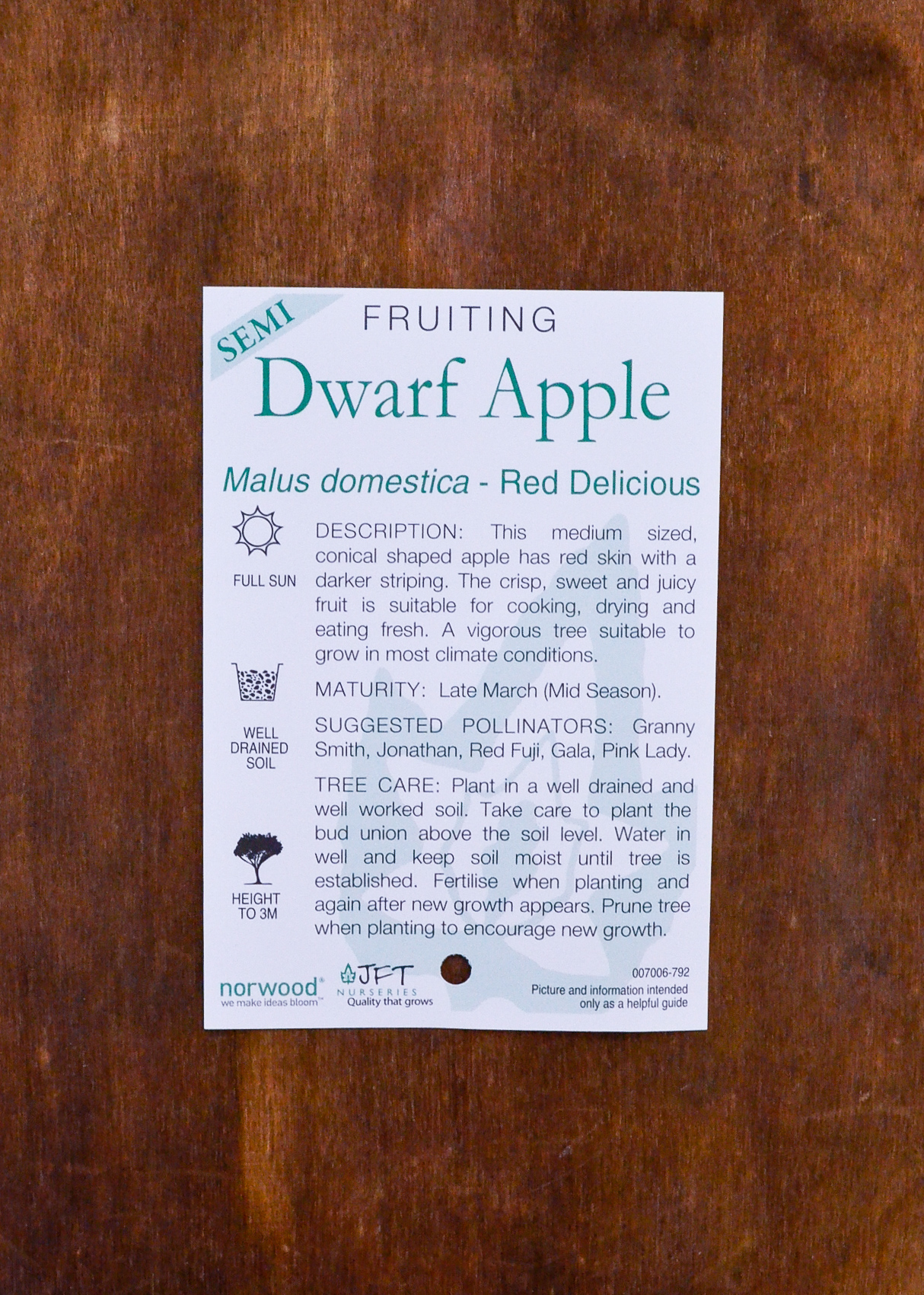 Apple - Red Delicious (Hi Early) Semi Dwarf - Bare Root - Image 2