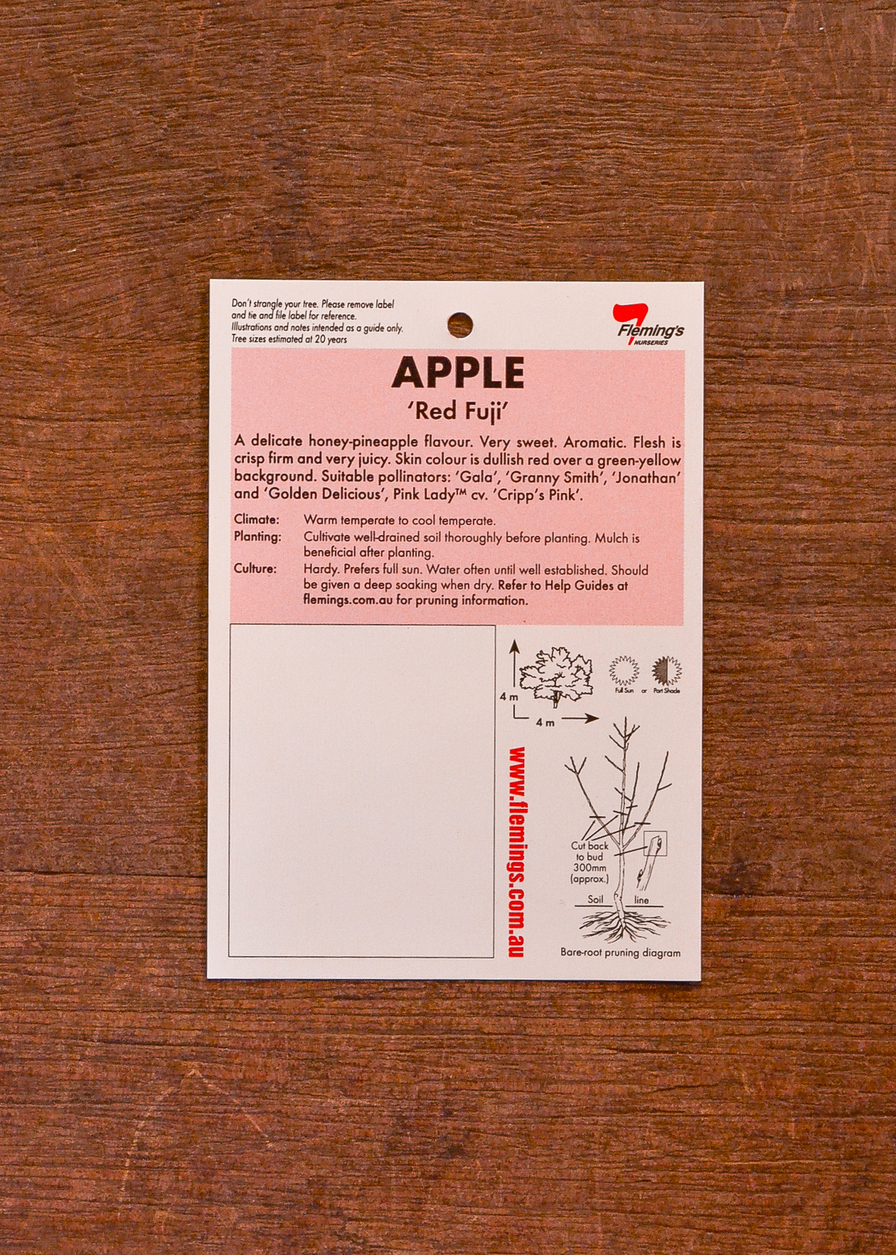 Apple - Red Fuji - Image 2