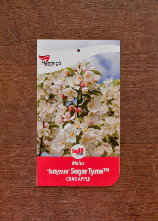 Crab Apple - Sugar Tyme™