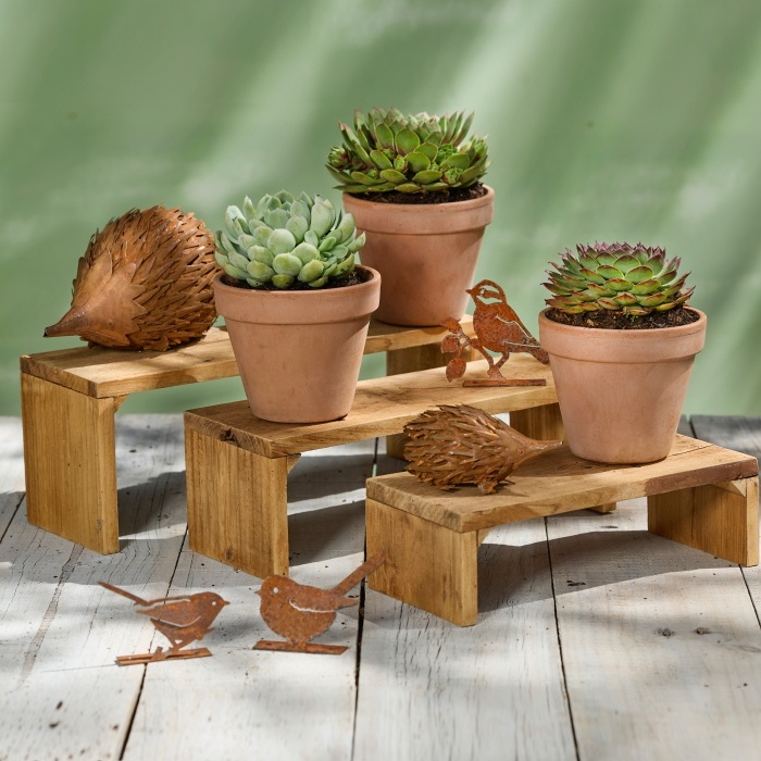 Plant Stand - Risers - Timber - Image 2