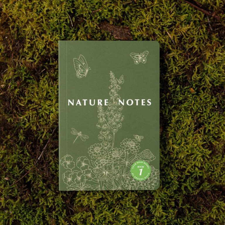 Book - Nature Notes 1