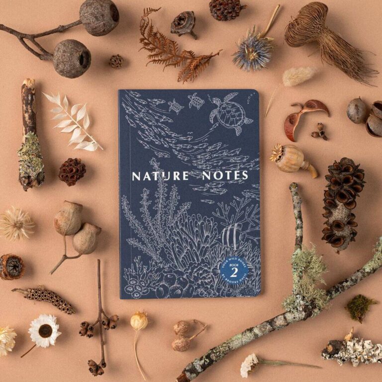 Book - Nature Notes 2